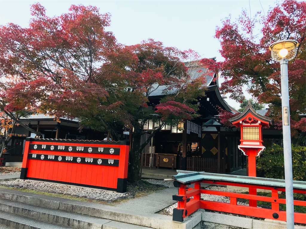 f:id:fujinosakura:20181130005309j:image f:id:fujinosakura:20181130005309j:image