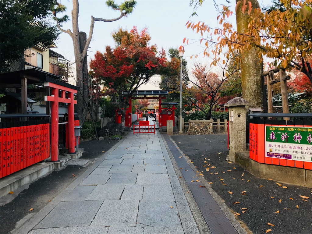 f:id:fujinosakura:20181130005312j:image f:id:fujinosakura:20181130005312j:image