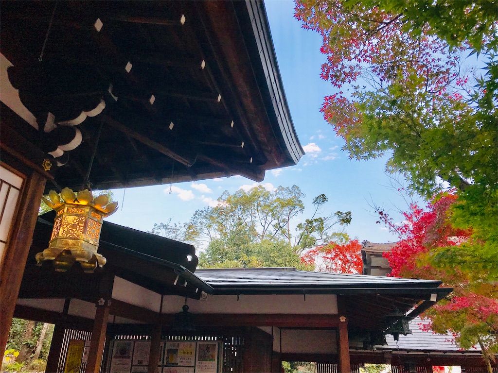 f:id:fujinosakura:20181130005346j:image f:id:fujinosakura:20181130005346j:image