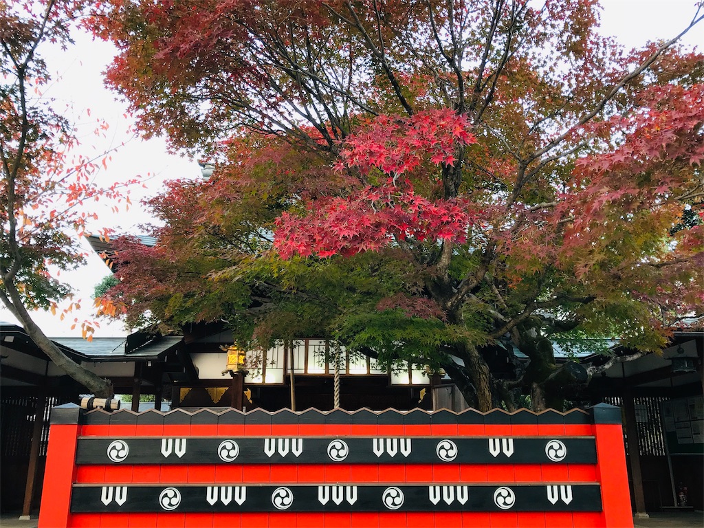 f:id:fujinosakura:20181130005354j:image f:id:fujinosakura:20181130005354j:image
