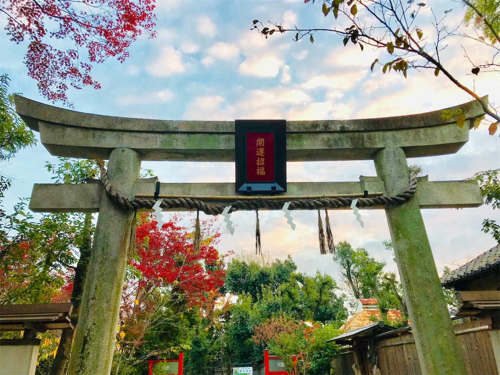 f:id:fujinosakura:20181130005408j:image f:id:fujinosakura:20181130005408j:image