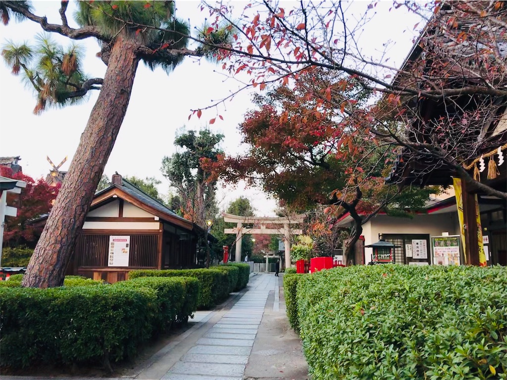 f:id:fujinosakura:20181130005411j:image f:id:fujinosakura:20181130005411j:image