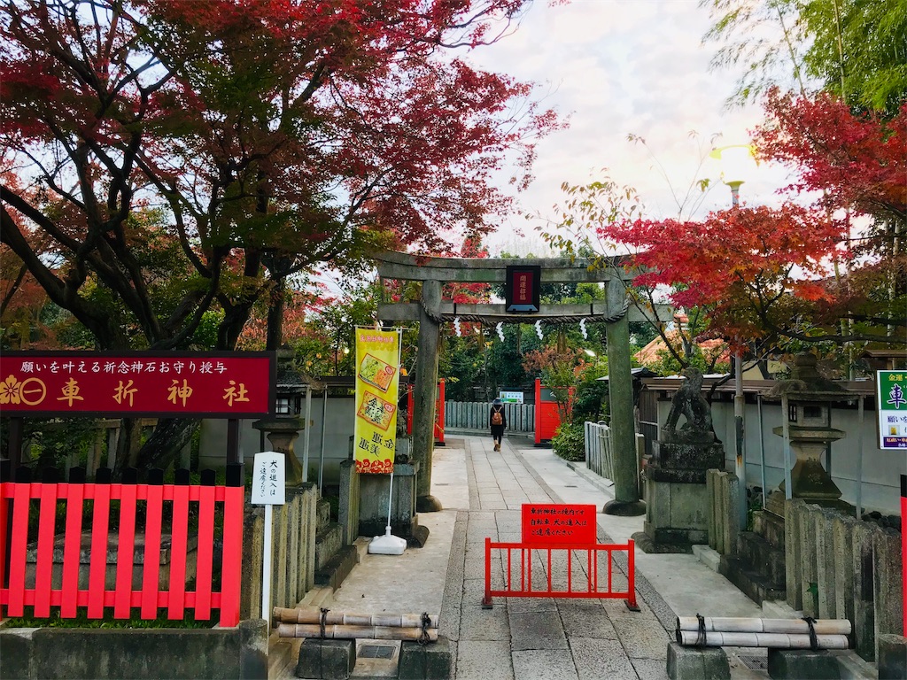 f:id:fujinosakura:20181130005422j:image f:id:fujinosakura:20181130005422j:image