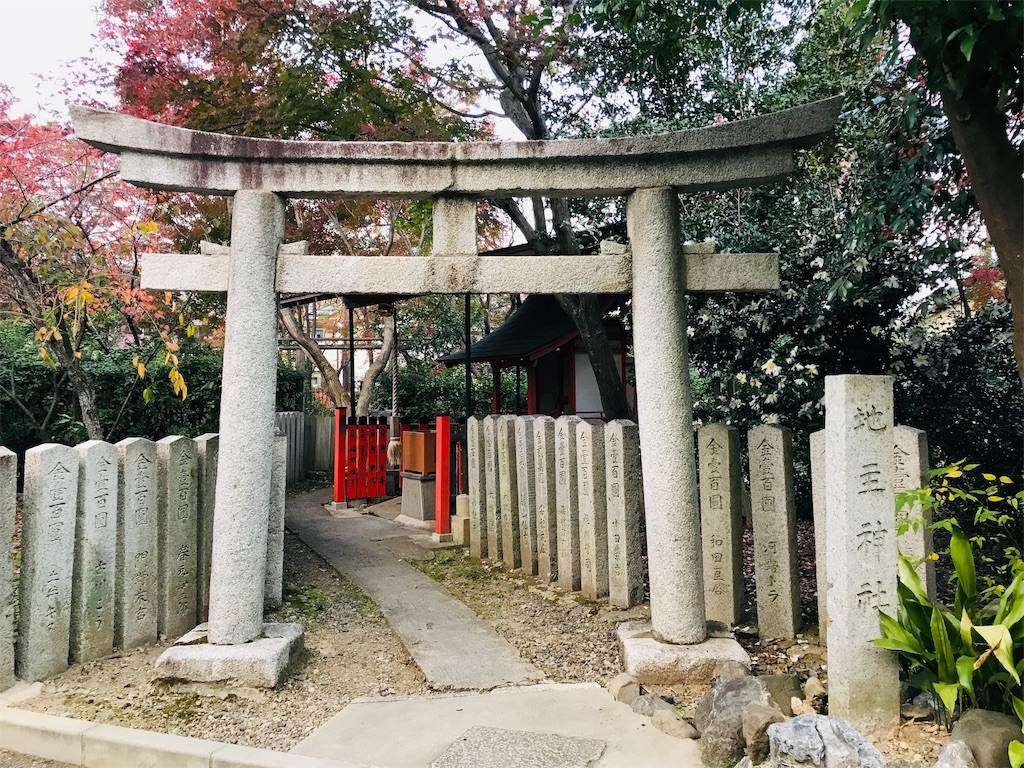 f:id:fujinosakura:20181130005733j:image f:id:fujinosakura:20181130005733j:image