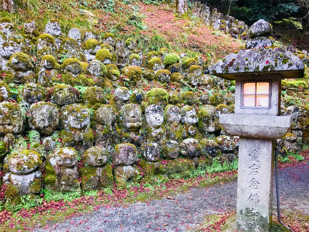 f:id:fujinosakura:20181202094335j:image f:id:fujinosakura:20181202094335j:image