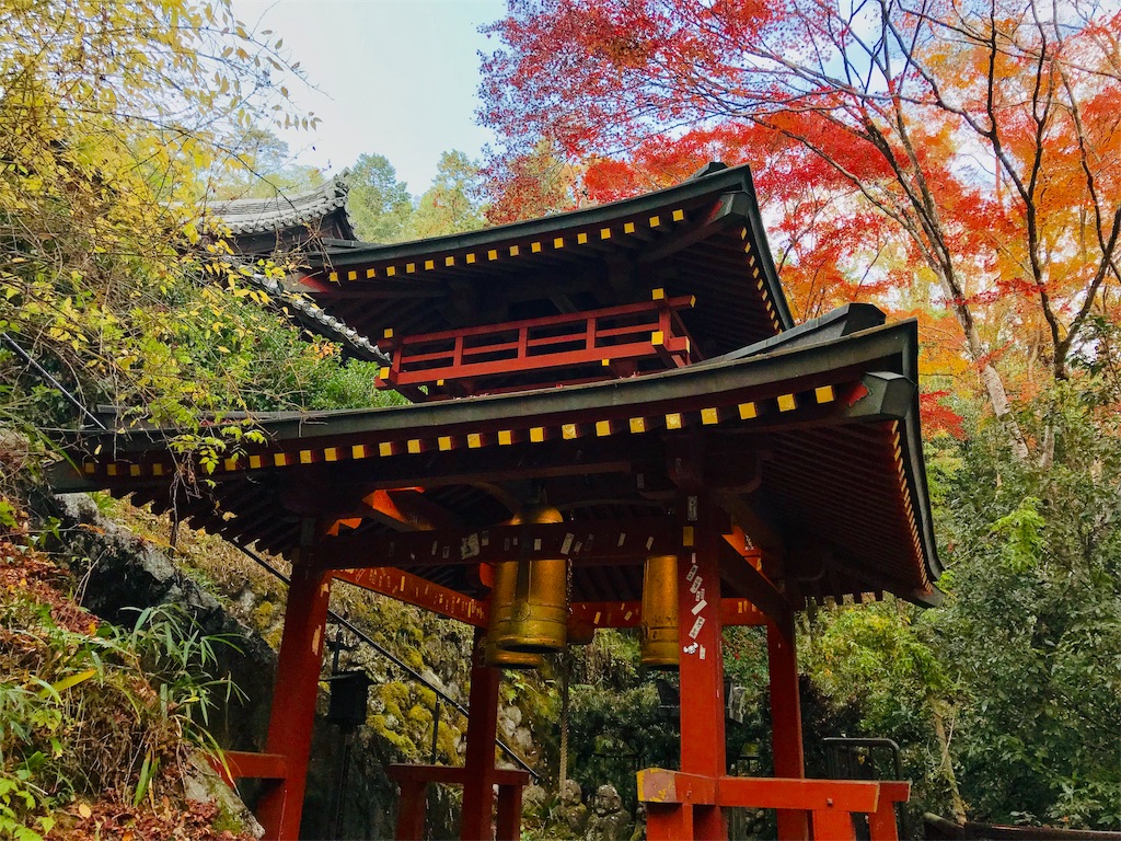 f:id:fujinosakura:20181202094339j:image f:id:fujinosakura:20181202094339j:image