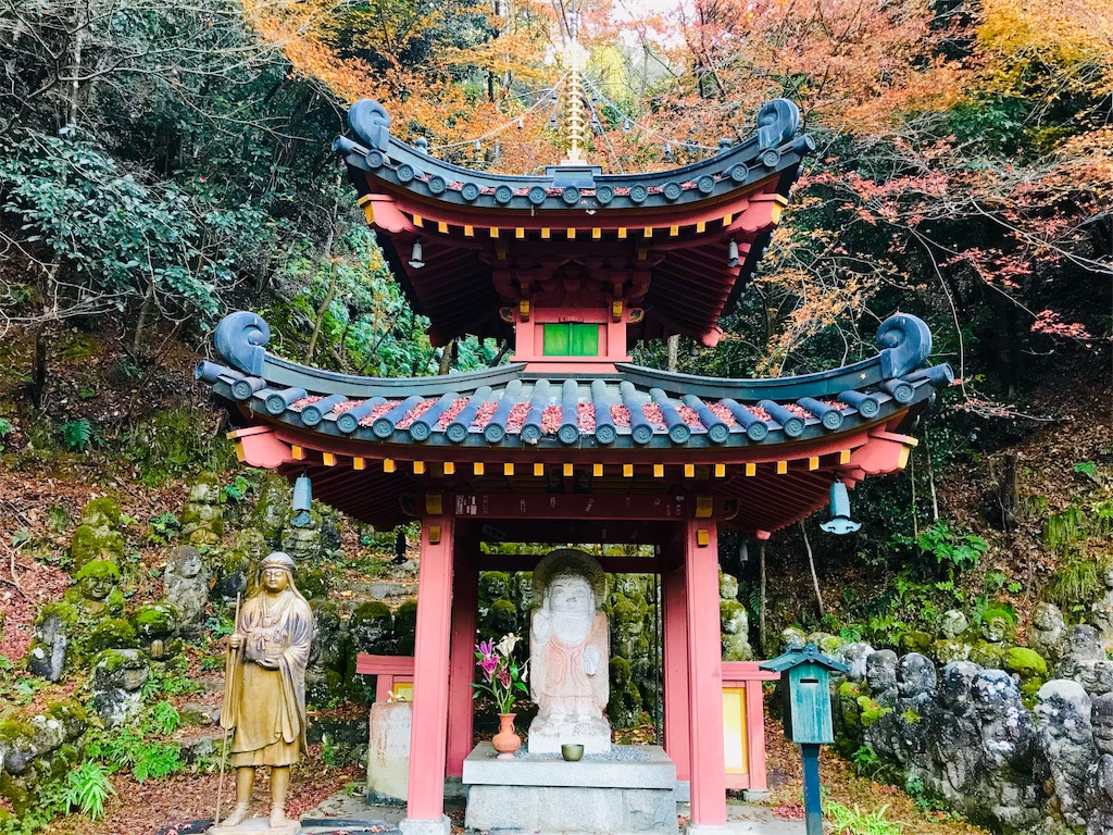 f:id:fujinosakura:20181202094346j:image f:id:fujinosakura:20181202094346j:image