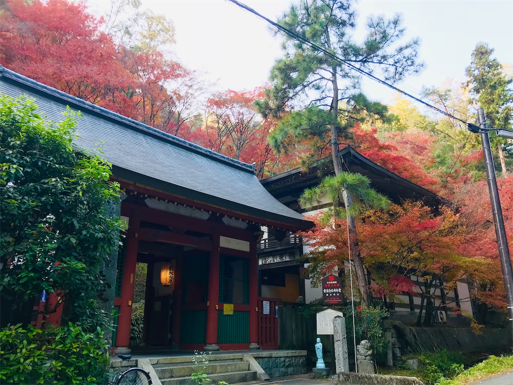 f:id:fujinosakura:20181202094353j:image f:id:fujinosakura:20181202094353j:image