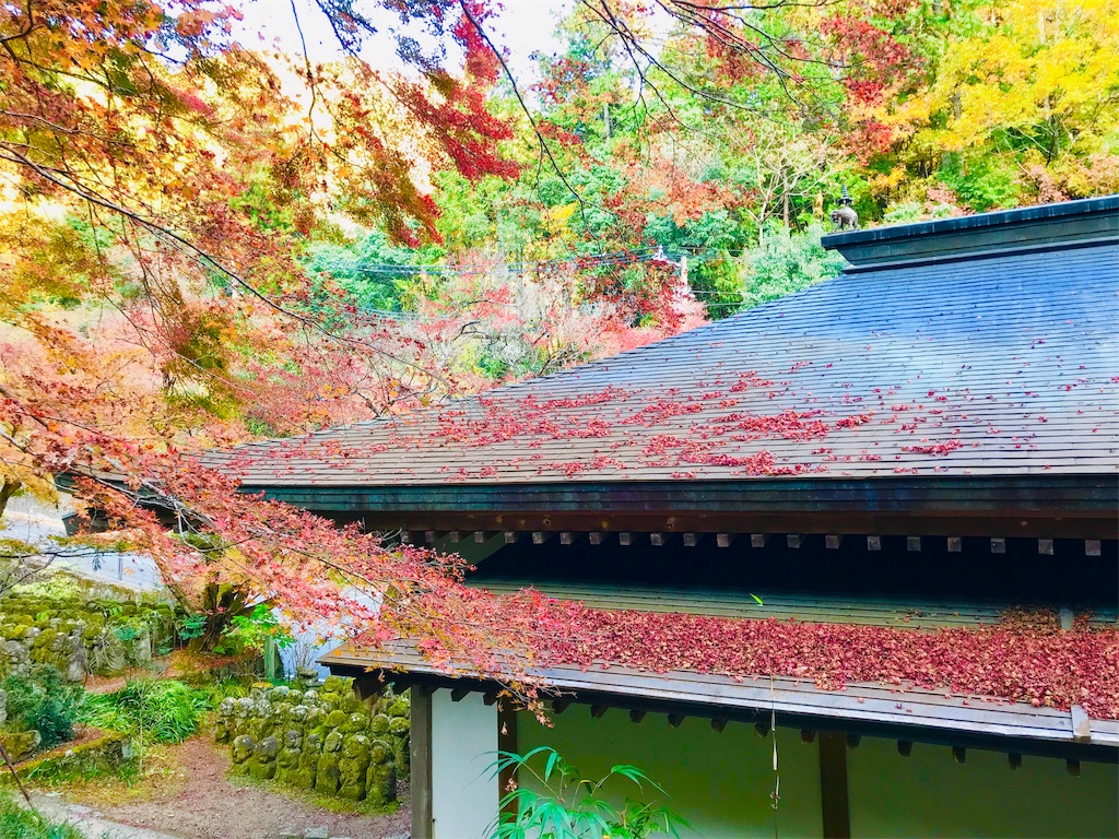 f:id:fujinosakura:20181202094400j:image f:id:fujinosakura:20181202094400j:image