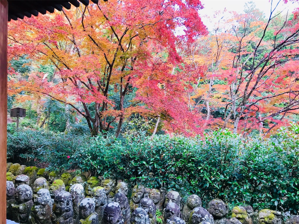 f:id:fujinosakura:20181202094407j:image f:id:fujinosakura:20181202094407j:image