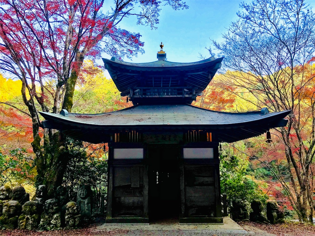 f:id:fujinosakura:20181202094411j:image f:id:fujinosakura:20181202094411j:image