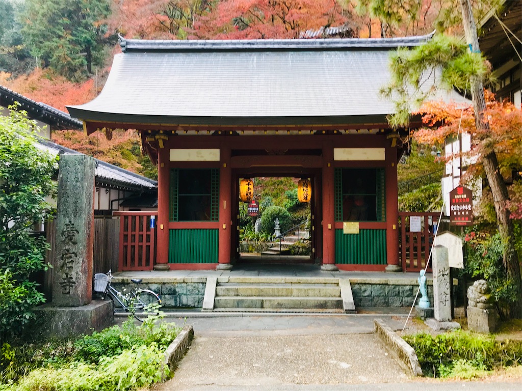 f:id:fujinosakura:20181202094417j:image f:id:fujinosakura:20181202094417j:image