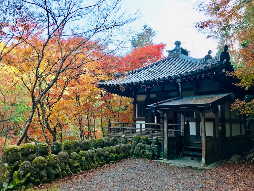 f:id:fujinosakura:20181202094427j:image f:id:fujinosakura:20181202094427j:image