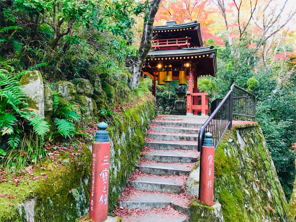 f:id:fujinosakura:20181202094439j:image f:id:fujinosakura:20181202094439j:image