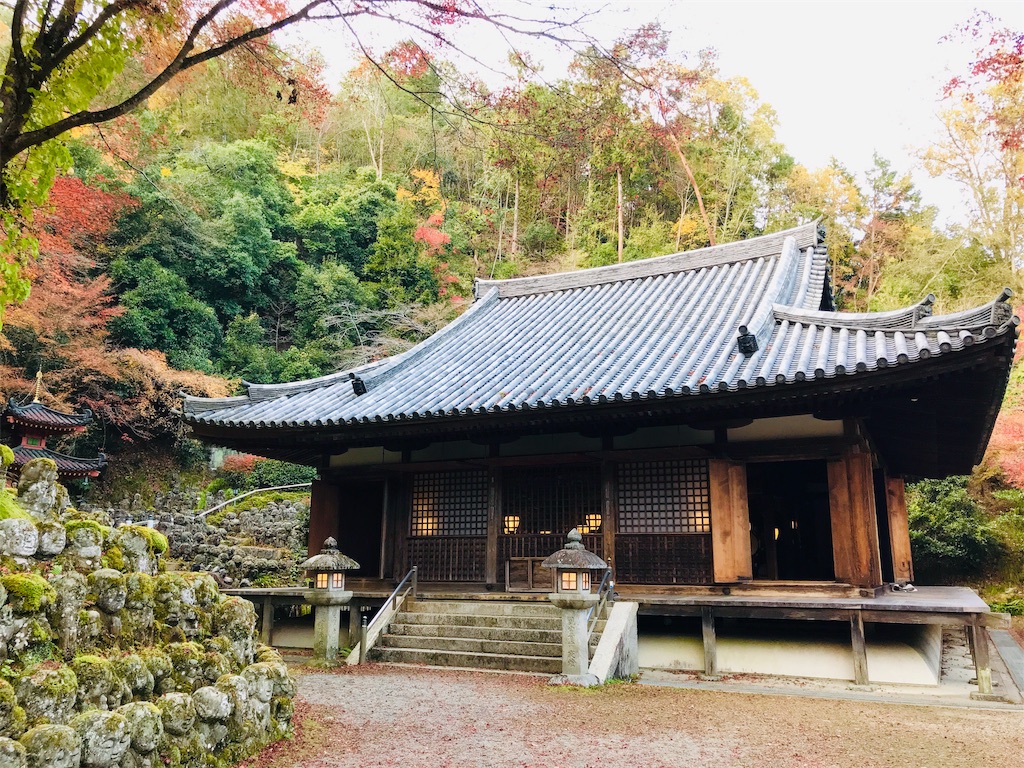 f:id:fujinosakura:20181202095149j:image f:id:fujinosakura:20181202095149j:image