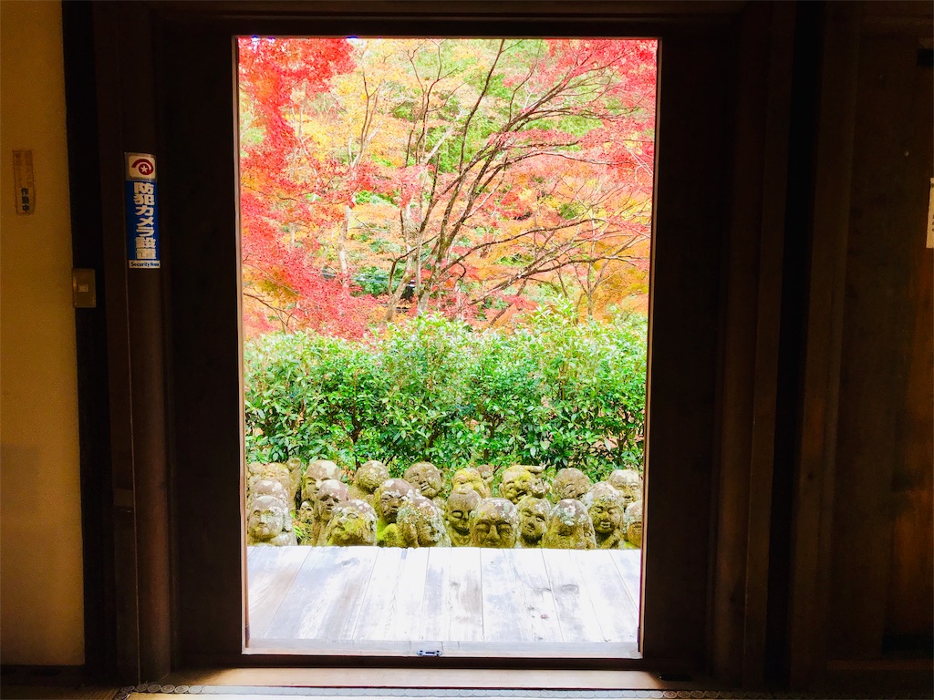 f:id:fujinosakura:20181202095153j:image f:id:fujinosakura:20181202095153j:image
