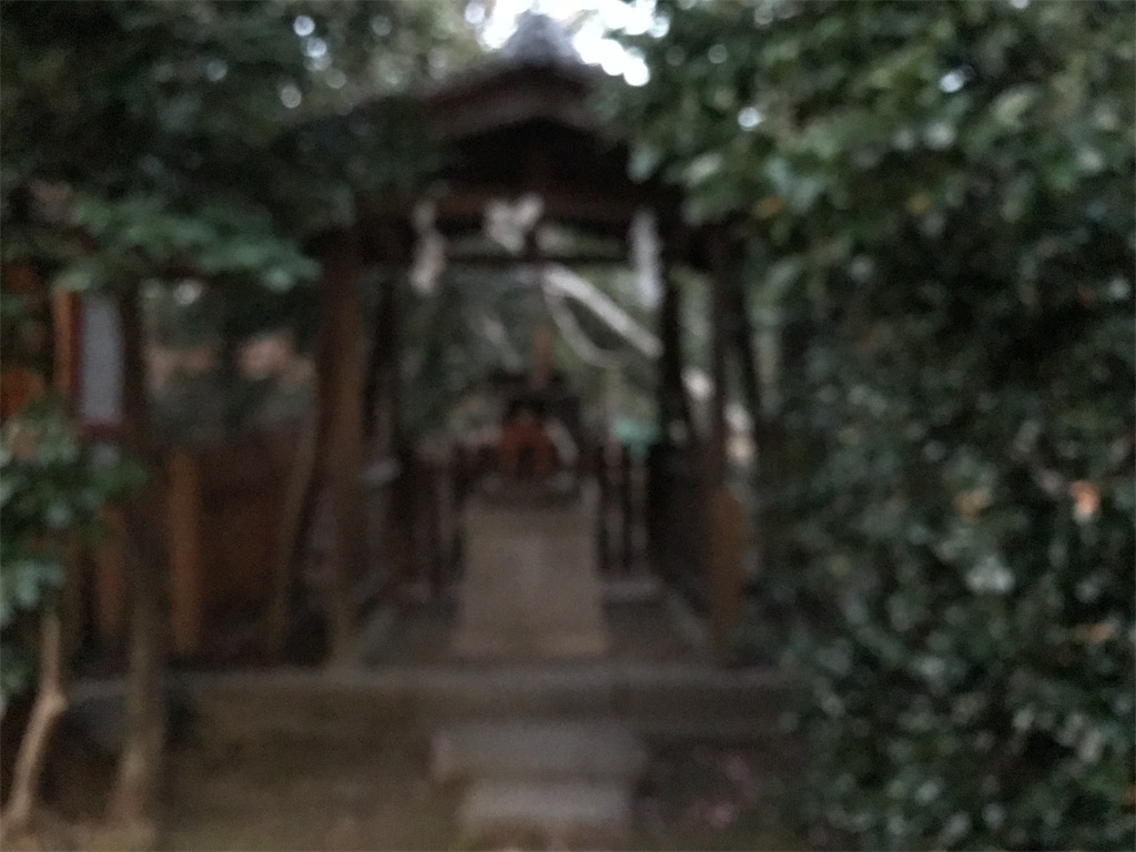 f:id:fujinosakura:20181203010027j:image f:id:fujinosakura:20181203010027j:image