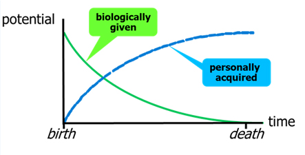 f:id:fujinumayasuki:20160331171531j:plain