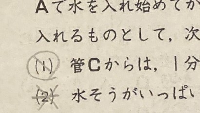 復習の進め方：5年(前半) - 名進研で駆け抜けた中学受験 ～南山女子/滝