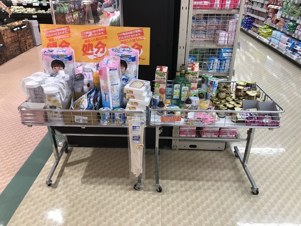 f:id:fujippulin:20181023160013j:plain