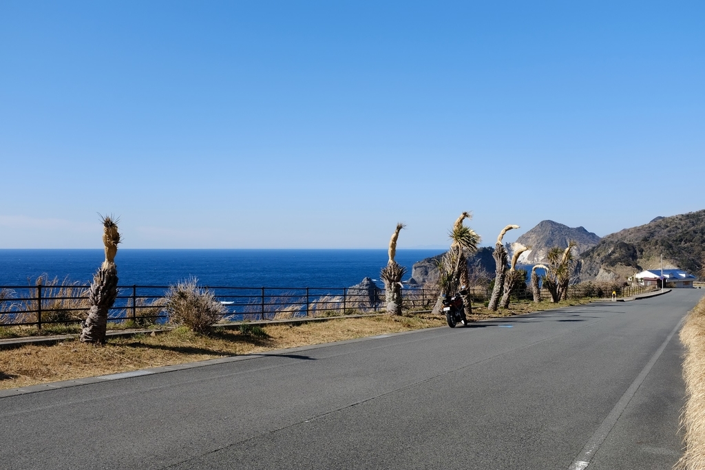 f:id:fujipy:20190216225934j:plain