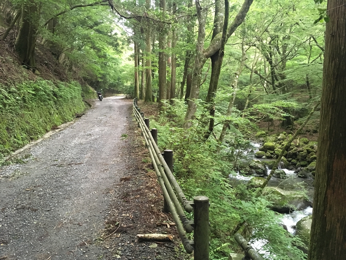 f:id:fujipy:20190711144458j:plain