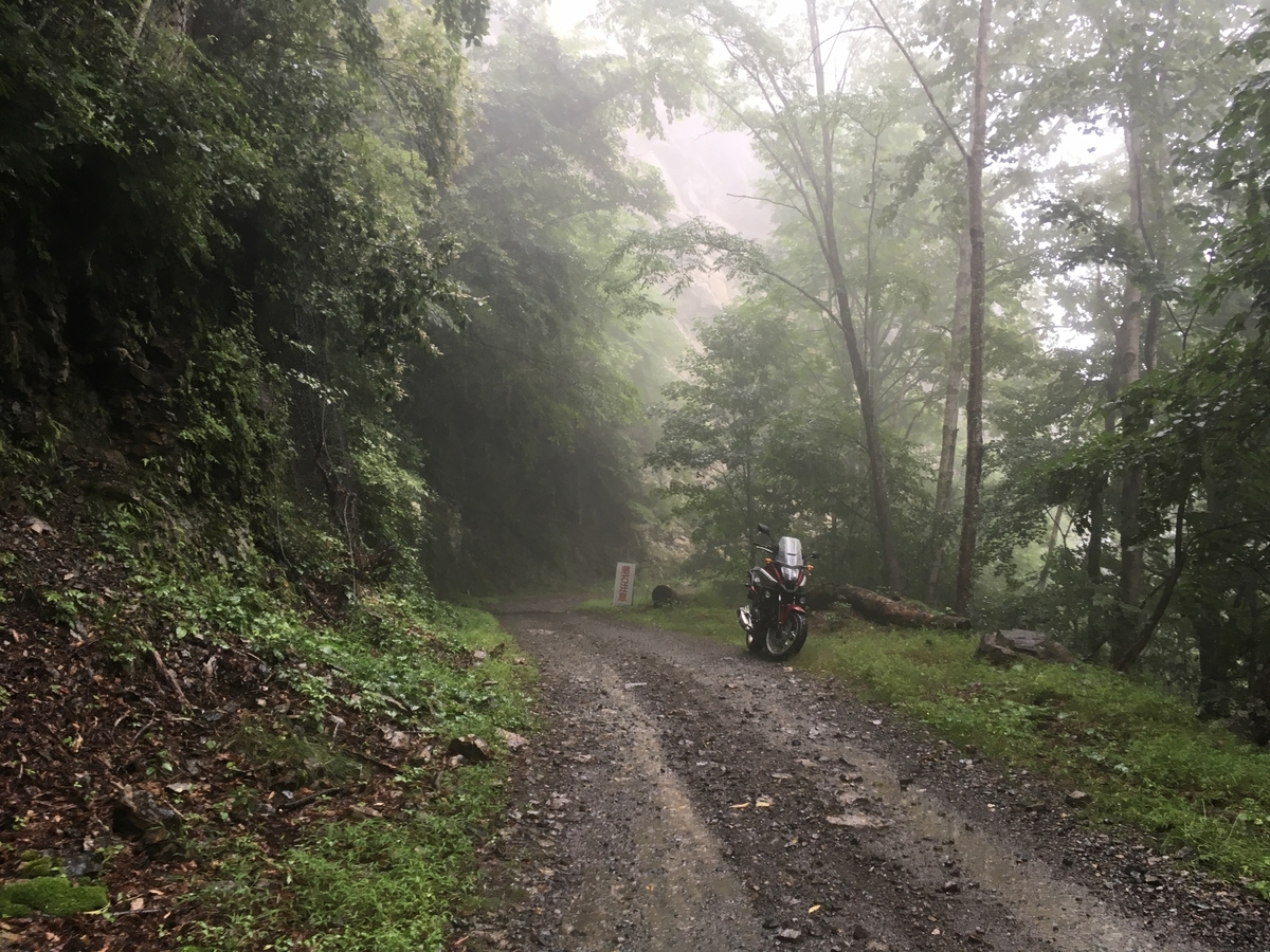 f:id:fujipy:20190818071350j:plain f:id:fujipy:20190818071350j:plain