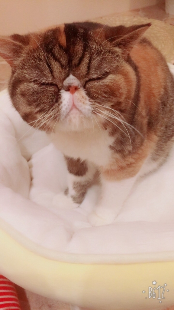 f:id:fujisan606:20180213223341j:plain f:id:fujisan606:20180213223341j:plain
