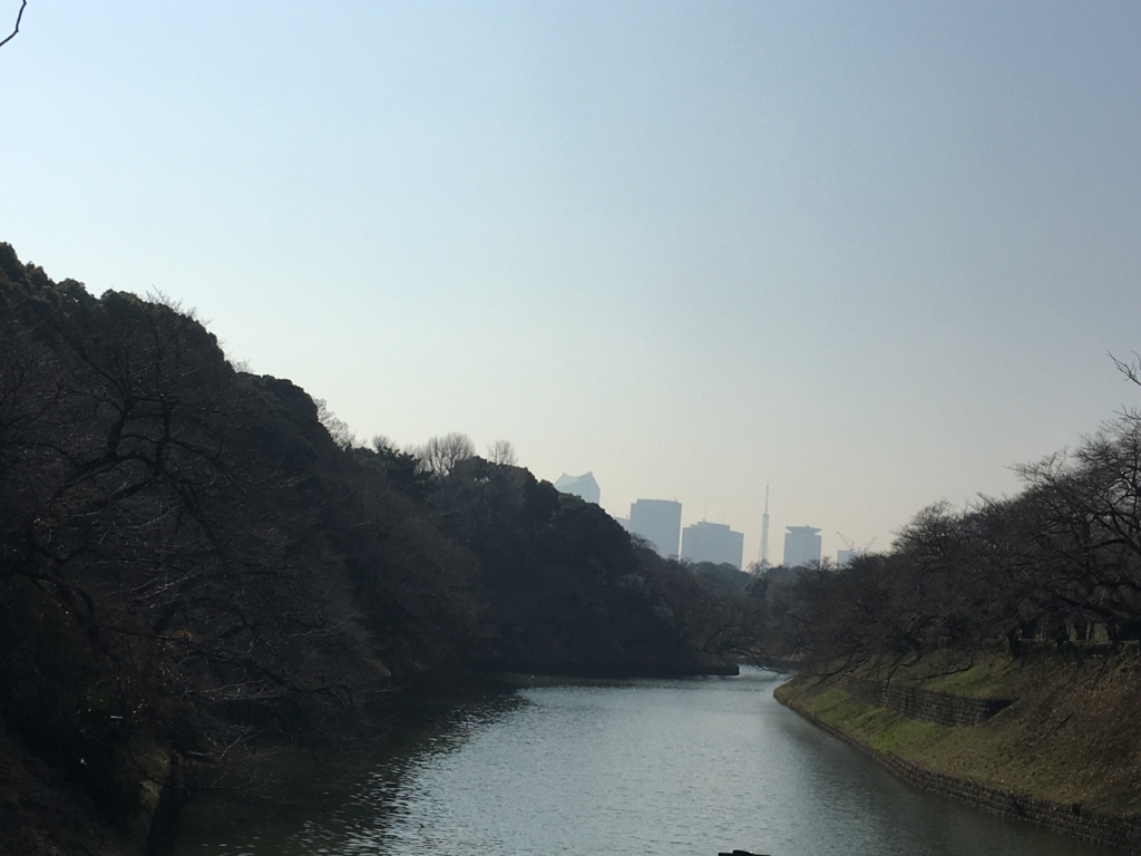 f:id:fujisan606:20180322004743j:plain f:id:fujisan606:20180322004743j:plain