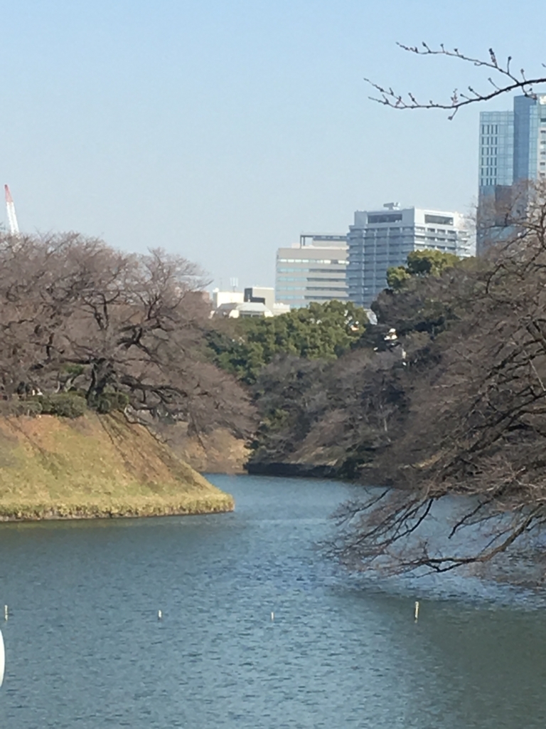 f:id:fujisan606:20180322004814j:plain f:id:fujisan606:20180322004814j:plain