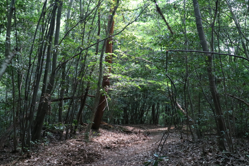 f:id:fujisanO:20160627165217j:plain f:id:fujisanO:20160627165217j:plain