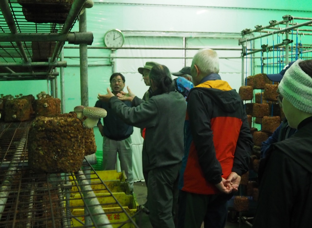 f:id:fujisanO:20171212160524j:plain