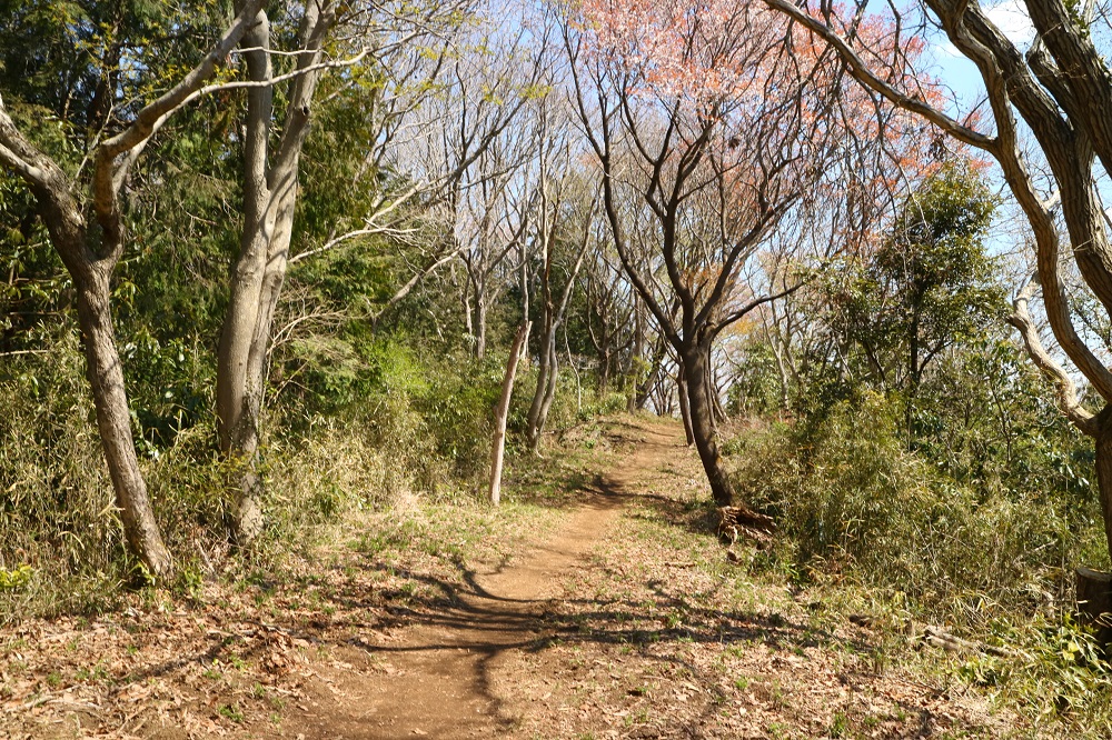 f:id:fujisanO:20190509094215j:plain f:id:fujisanO:20190509094215j:plain