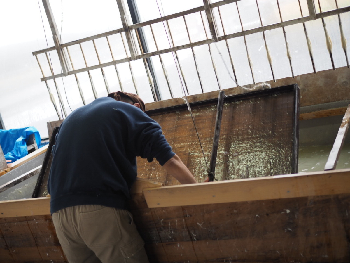 f:id:fujisanO:20200124141219j:plain f:id:fujisanO:20200124141219j:plain