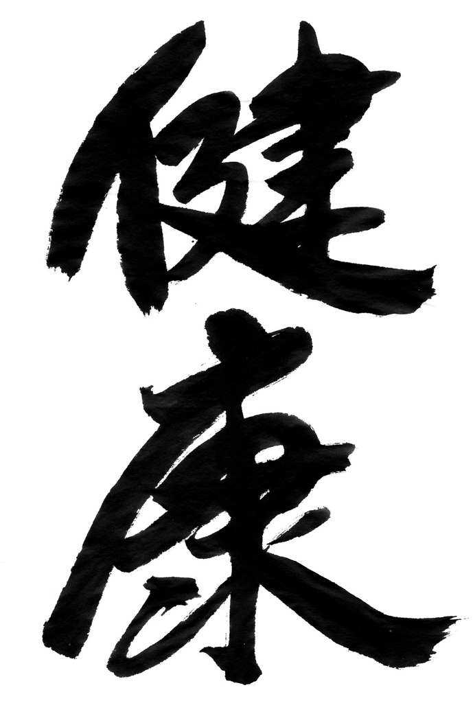 f:id:fujisawa-zuan:20190312000049j:plain f:id:fujisawa-zuan:20190312000049j:plain