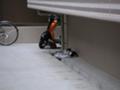 おきにいりの場所で