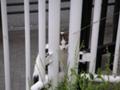 隙間から眺める