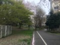 20150404162932