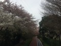 20150404163710