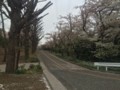 20150404163750