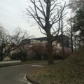 20150404164455