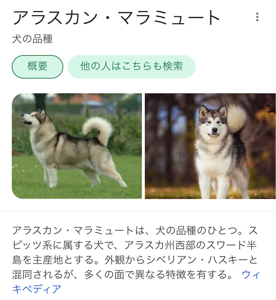 大きな犬を飼いたいよ 藤田と鹿川とブログ