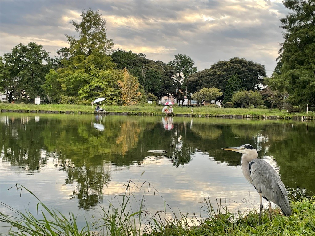 f:id:fujisong:20211017204045j:image f:id:fujisong:20211017204045j:image