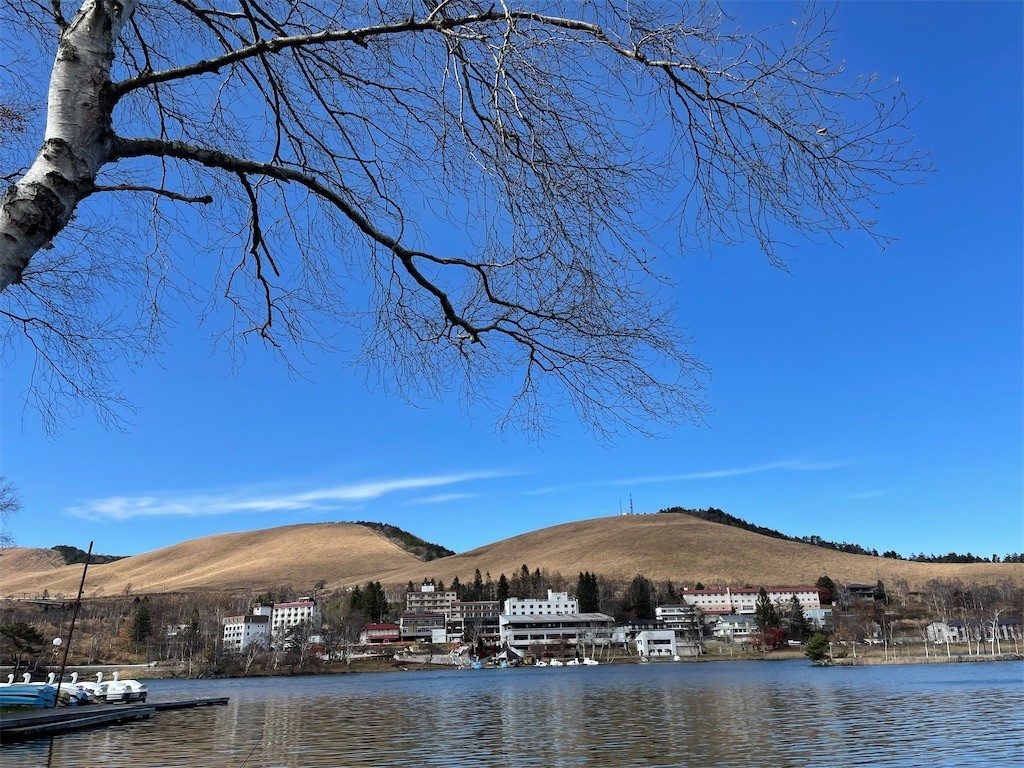 f:id:fujisong:20211120192324j:image