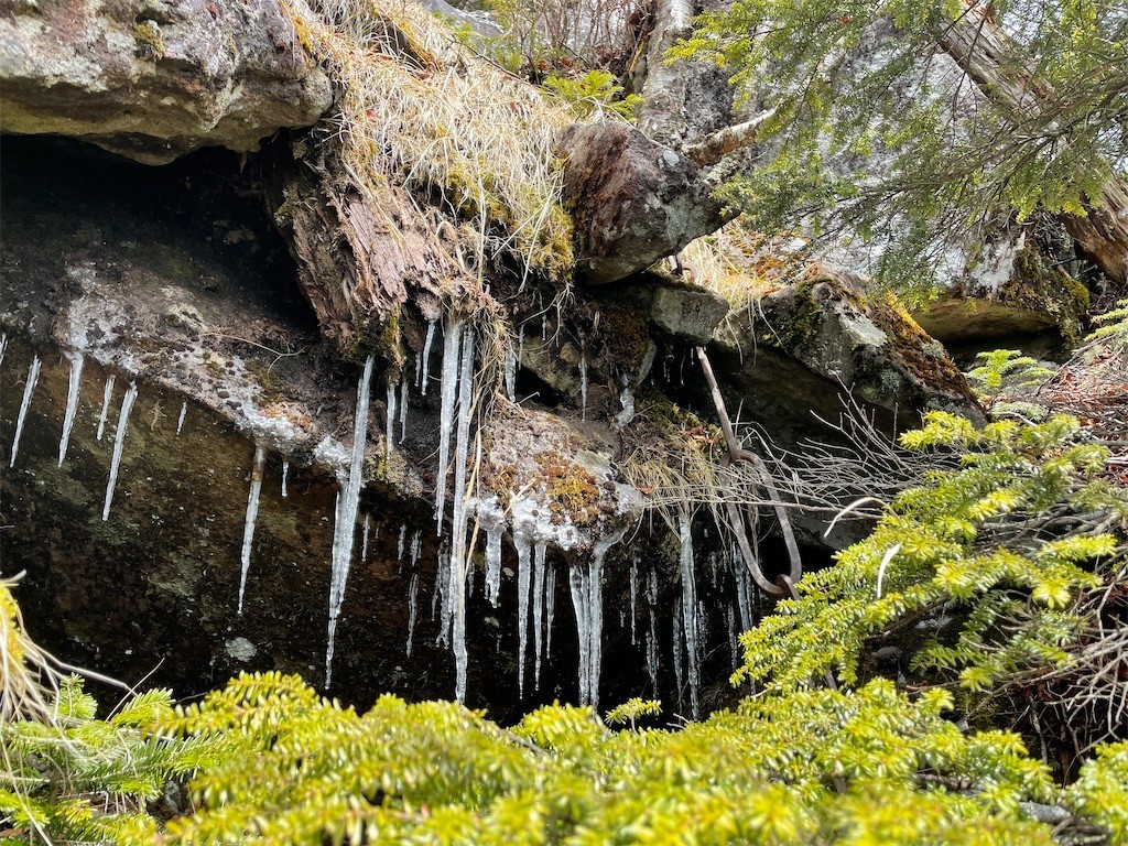 f:id:fujisong:20220507133810j:image