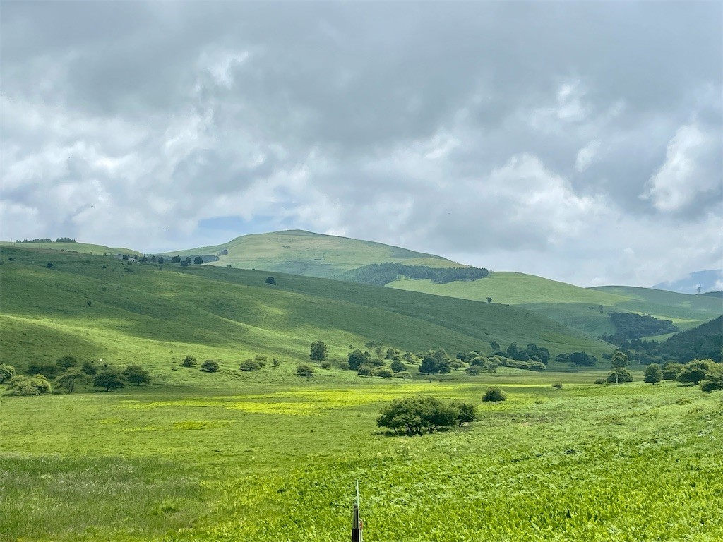 f:id:fujisong:20220724203546j:image