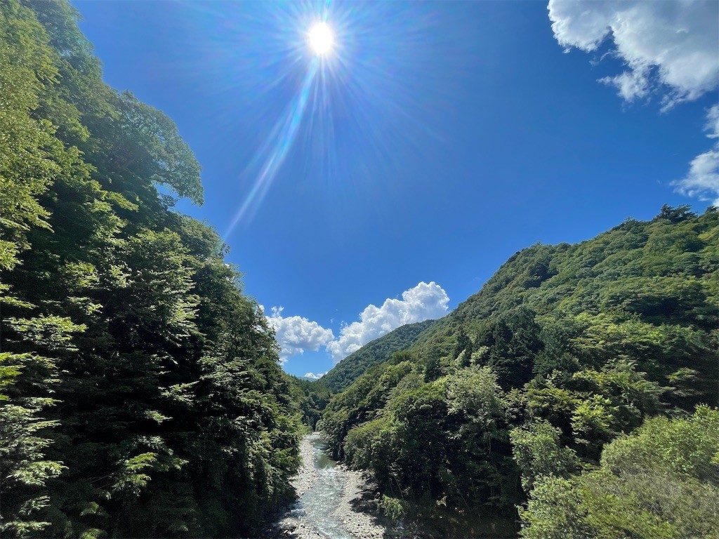 f:id:fujisong:20220813095143j:image