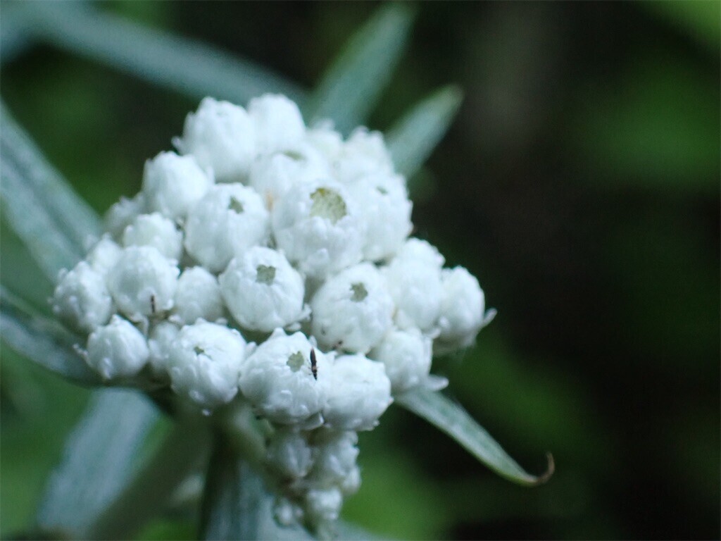 f:id:fujisong:20231015155933j:image f:id:fujisong:20231015155933j:image