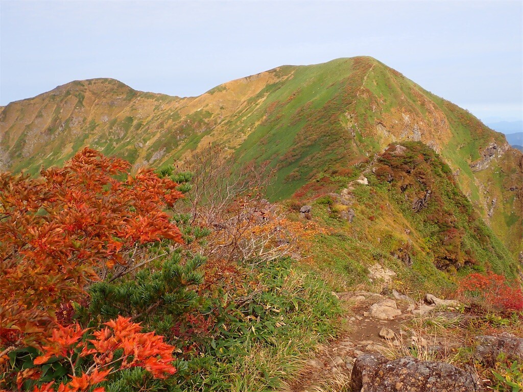 f:id:fujisong:20231020192950j:image