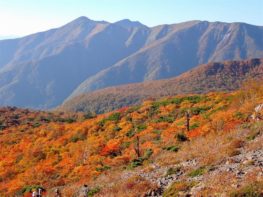 f:id:fujisong:20231020193625j:image